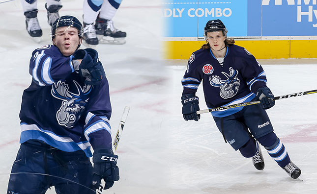 Manitoba Moose forward Mason Appleton named AHL player of the week -  Winnipeg