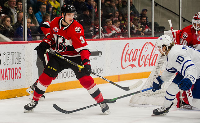 Checkers acquire Bourque from Bridgeport