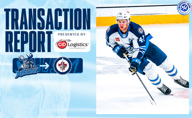 Jets Recall Chisholm From Moose - Manitoba Moose